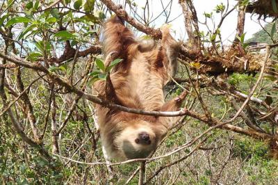 Embark on an unforgettable adventure in the antón valley! explore a nature reserve nestle