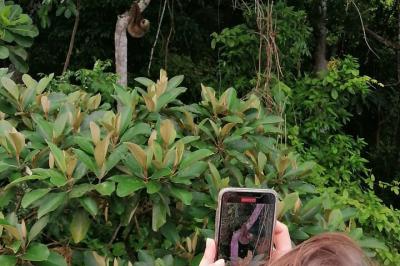 Our stunning panama canal lake nature sightseeing tour allows us to observe monkeys, lizar