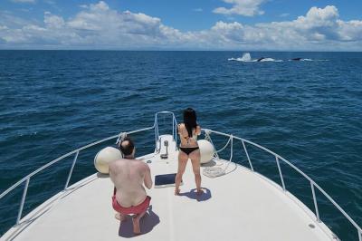 De junio a noviembre, la costa del pacífico de panamá se convierte en un espectáculo es