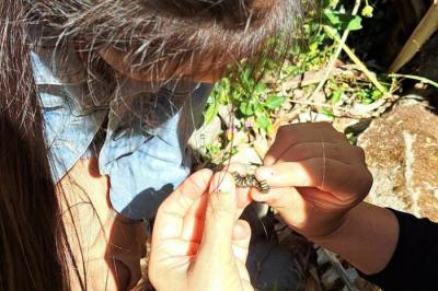 This exceptional tour allows you to explore the stunning path within the palmira forest on